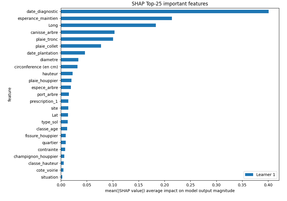 SHAP Importance